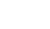 BlueBird Logo White