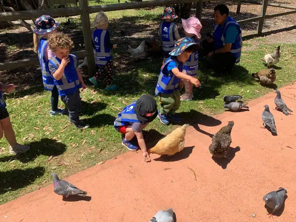 bluebird childcare busselton margaret river